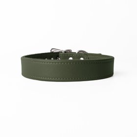 Classic Leather Dog Collar - Olive