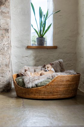 Rattan Peel Dog Basket and Mattress Set - Round