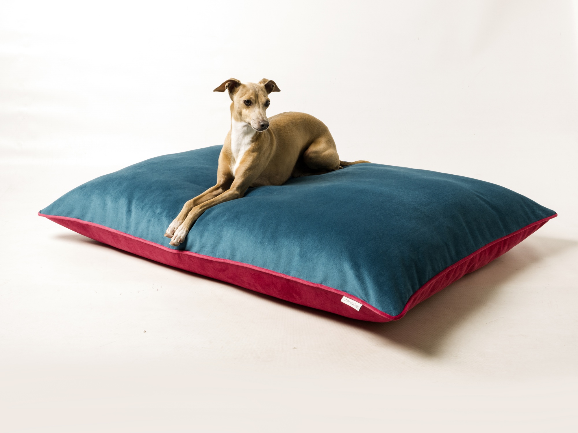 Charley Chau Day Bed Dog Mattress in Velour Contrast in Teal & Fuschia