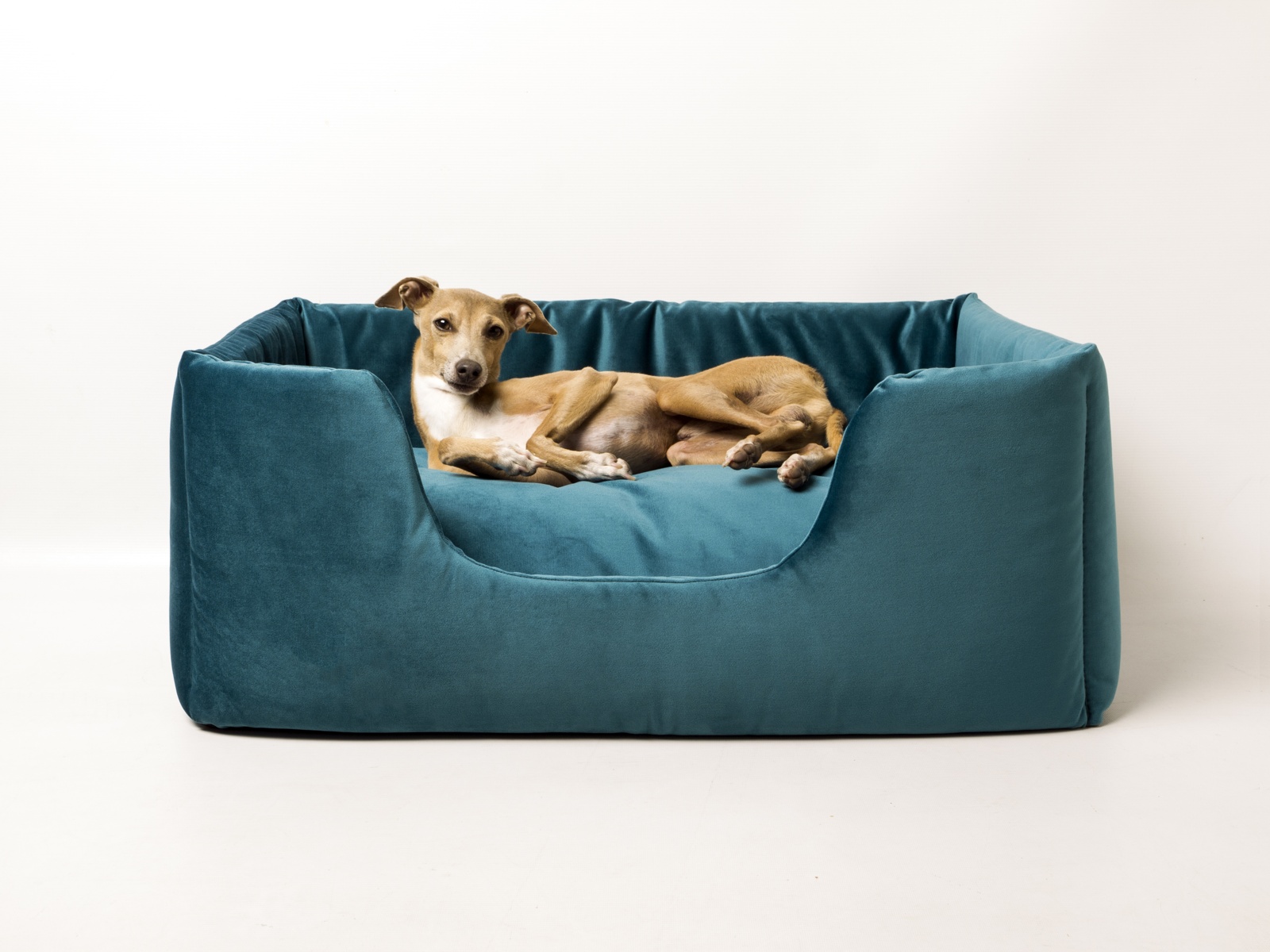 Charley Chau Deeply Dishy Luxury Dog Bed in Velour Contrast - Teal & Fuschia