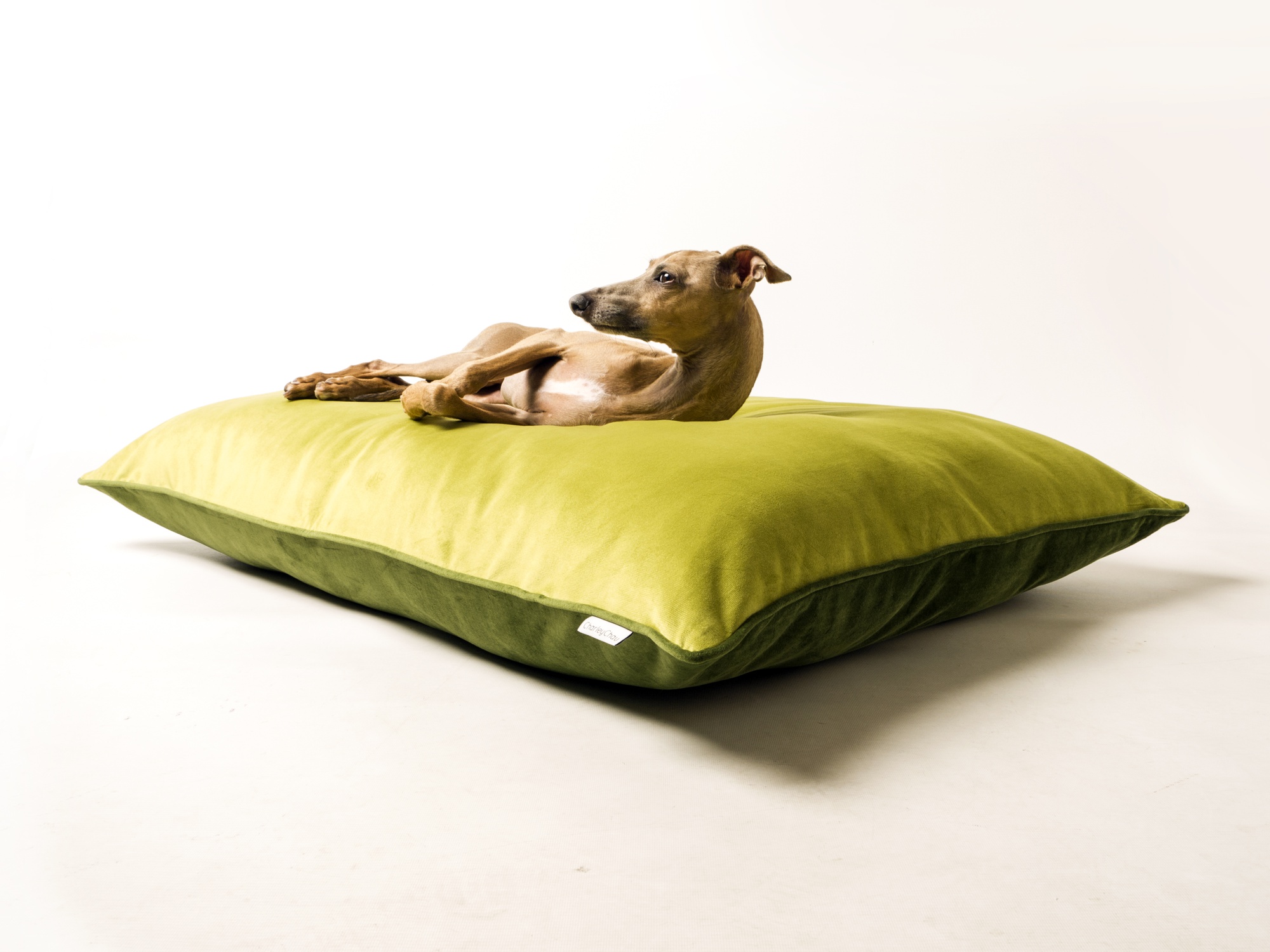 Charley Chau Day Bed Dog Mattress in Velour Contrast in Lime & Leaf