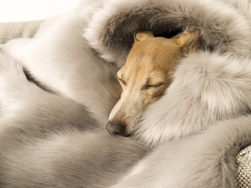 Charley Chau Faux-Fur Dog Blanket - Lilac Rabbit