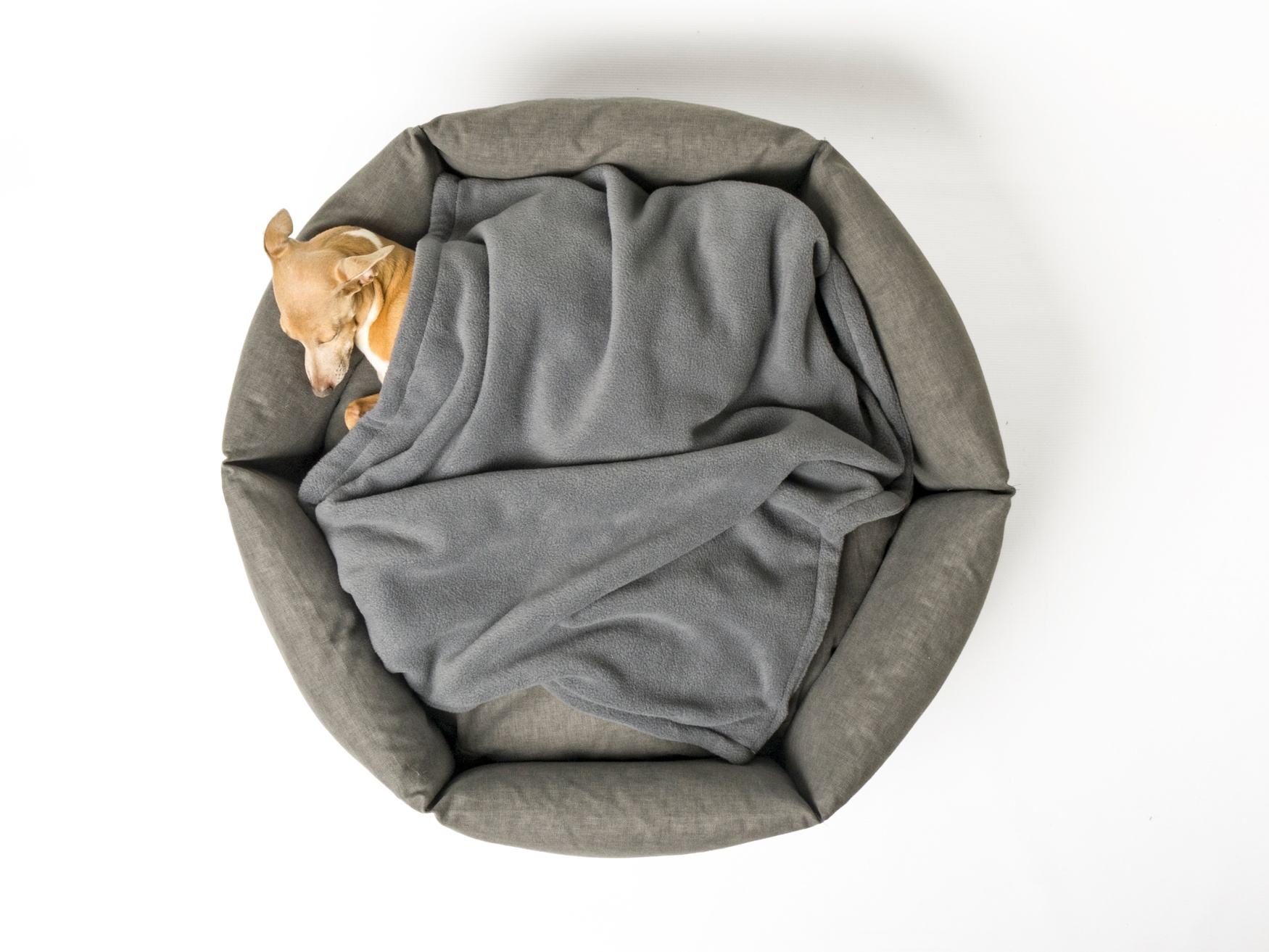 Charley Chau Ducky Donut Dog Bed Dark Gray