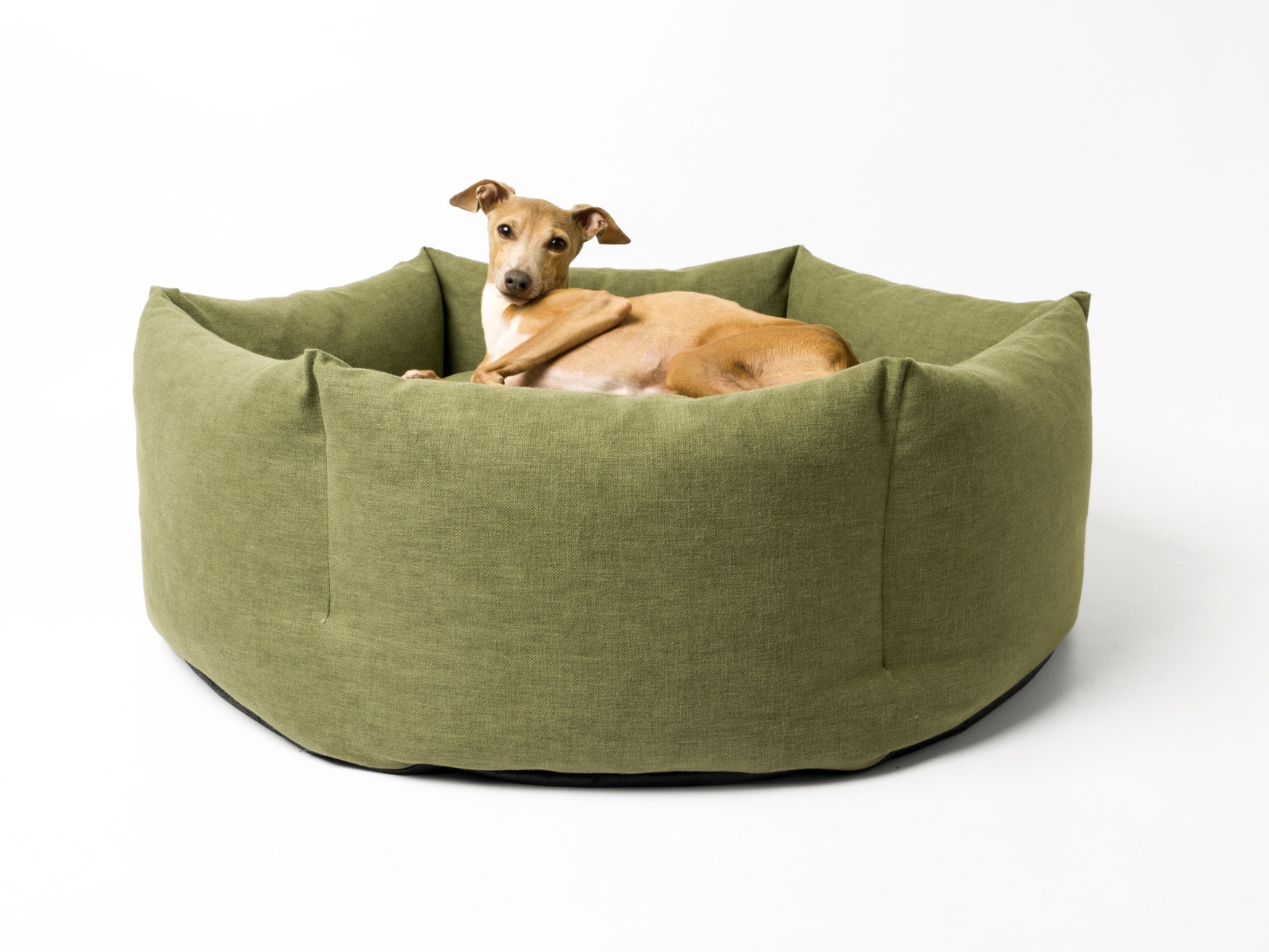 Charley Chau Ducky Donut Dog Bed Fern