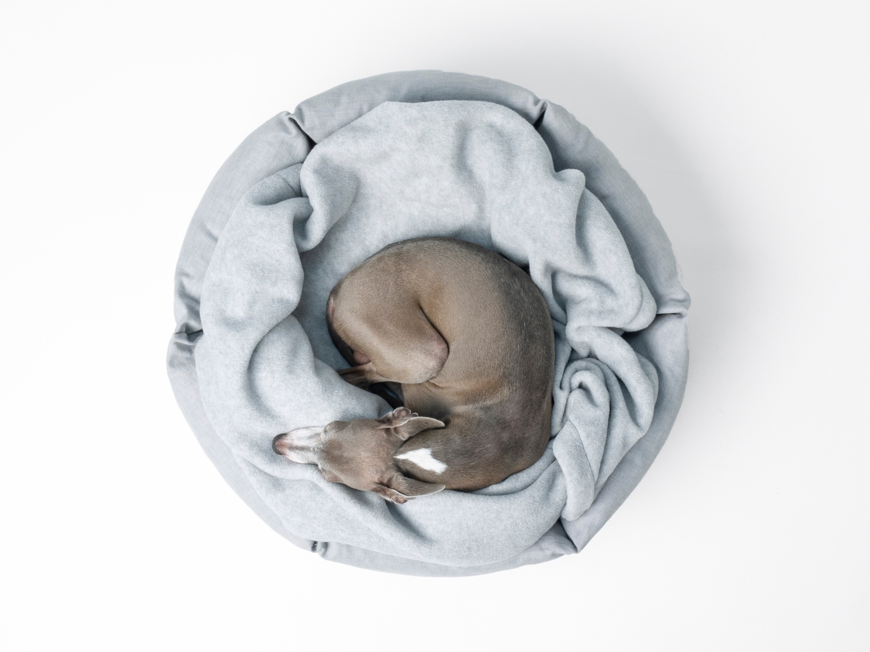 Charley Chau Double Fleece Dog Blanket Wisp Grey