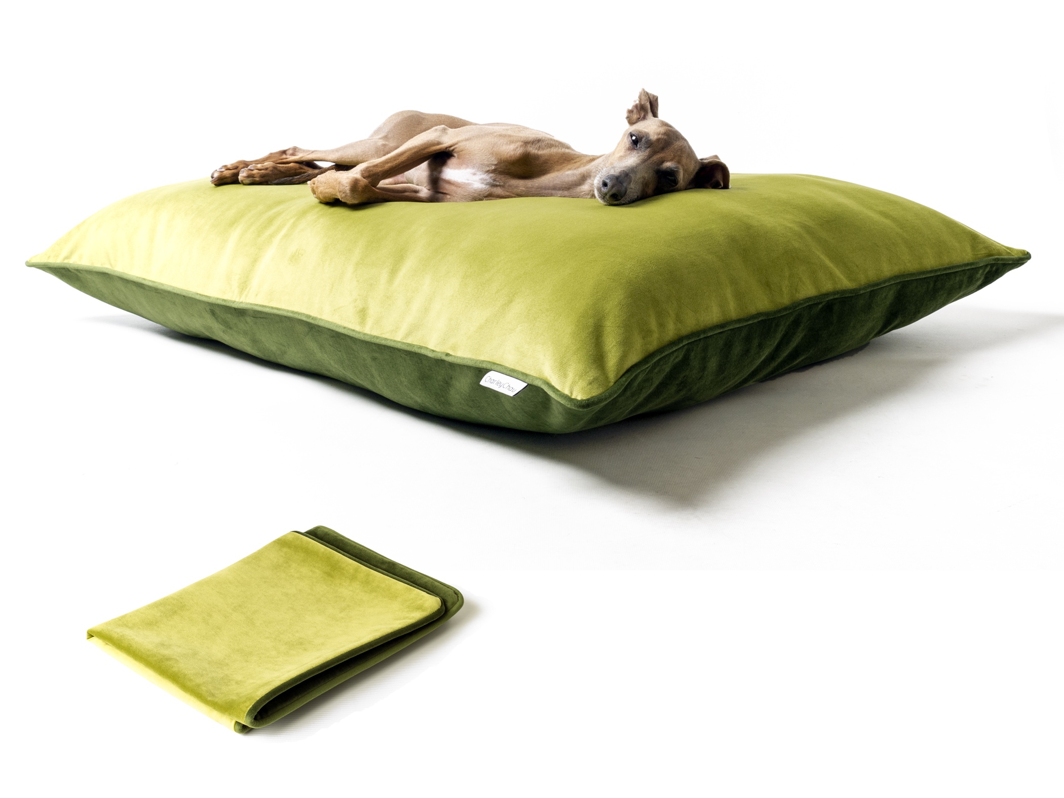 Spare Cover for Charley Chau Day Bed Mattresses in Velour - Lime & Leaf