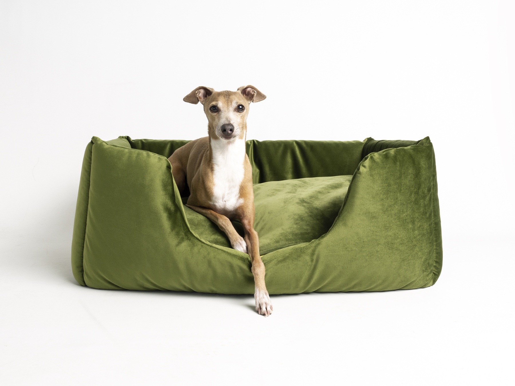Charley Chau Deeply Dishy Luxury Dog Bed in Velour Contrast - Leaf, Leaf & Lime