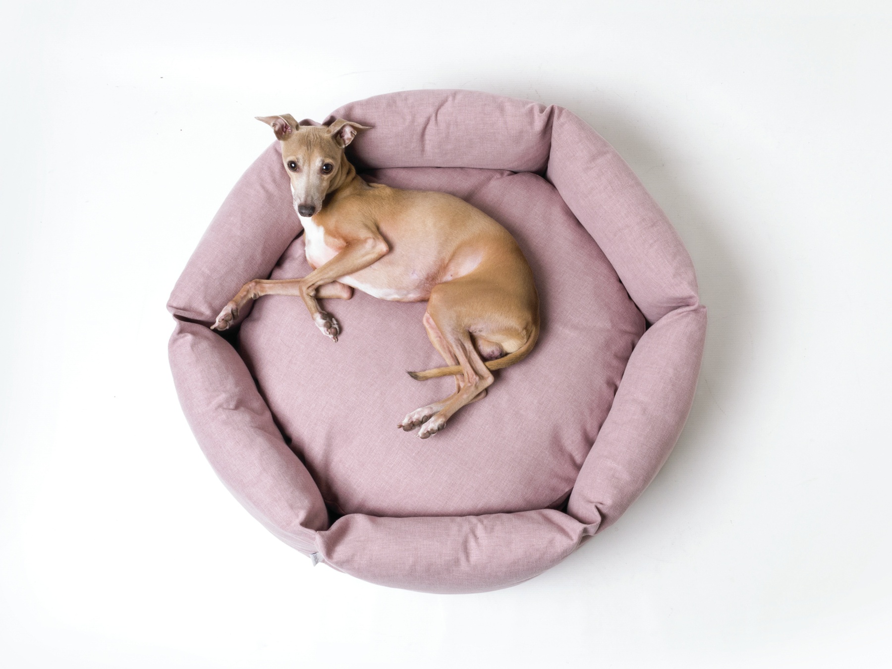 Charley Chau Ducky Donut Dog Bed Blush