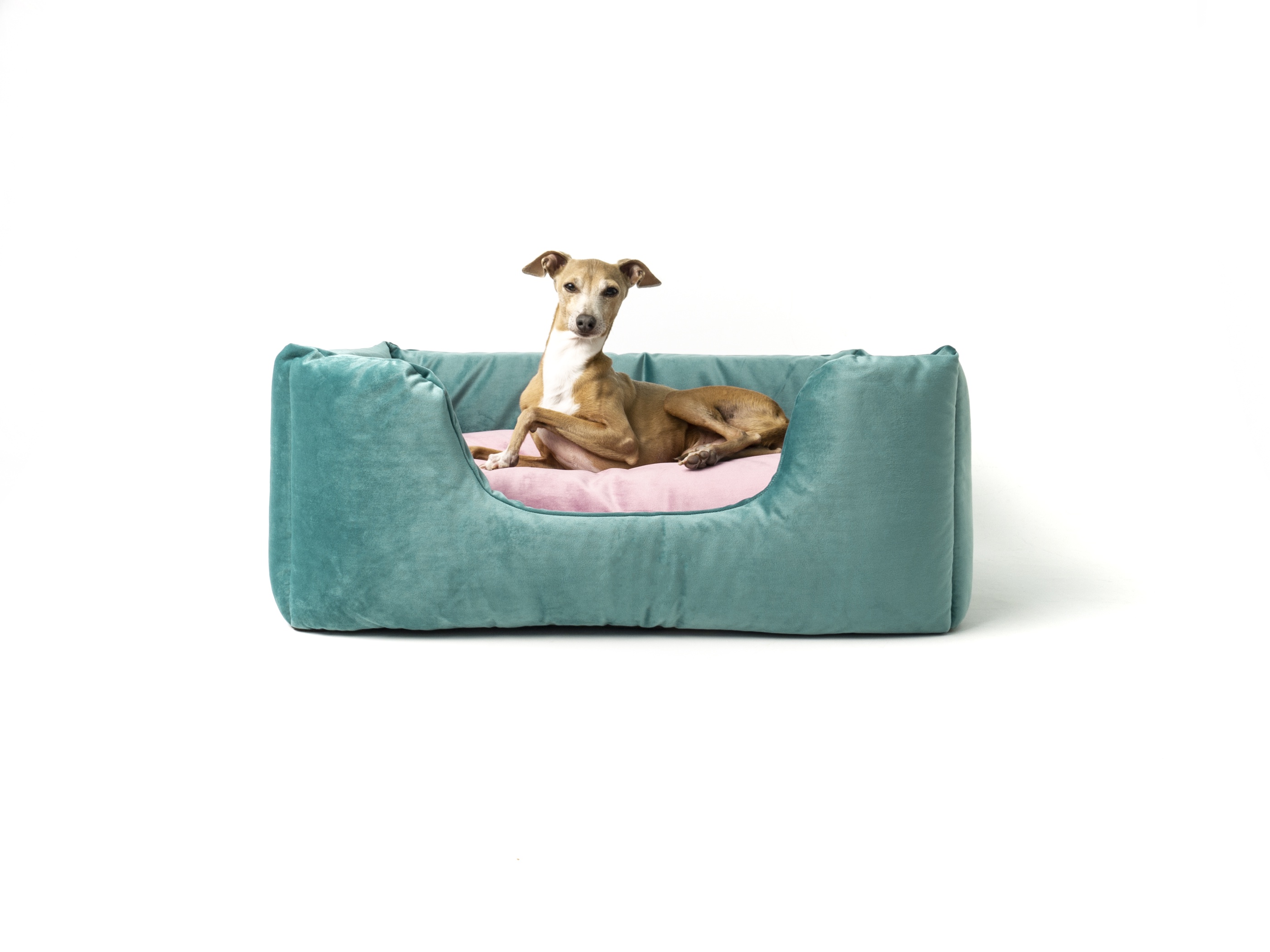 Charley Chau Deeply Dishy Luxury Dog Bed in Velour Contrast - Aquamarine & Victorian Rose