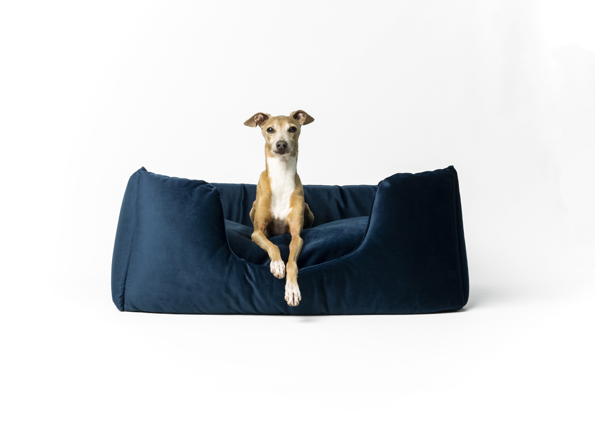 Charley Chau Deeply Dishy Luxury Dog Bed in Velour Contrast - Midnight & Palest Pink