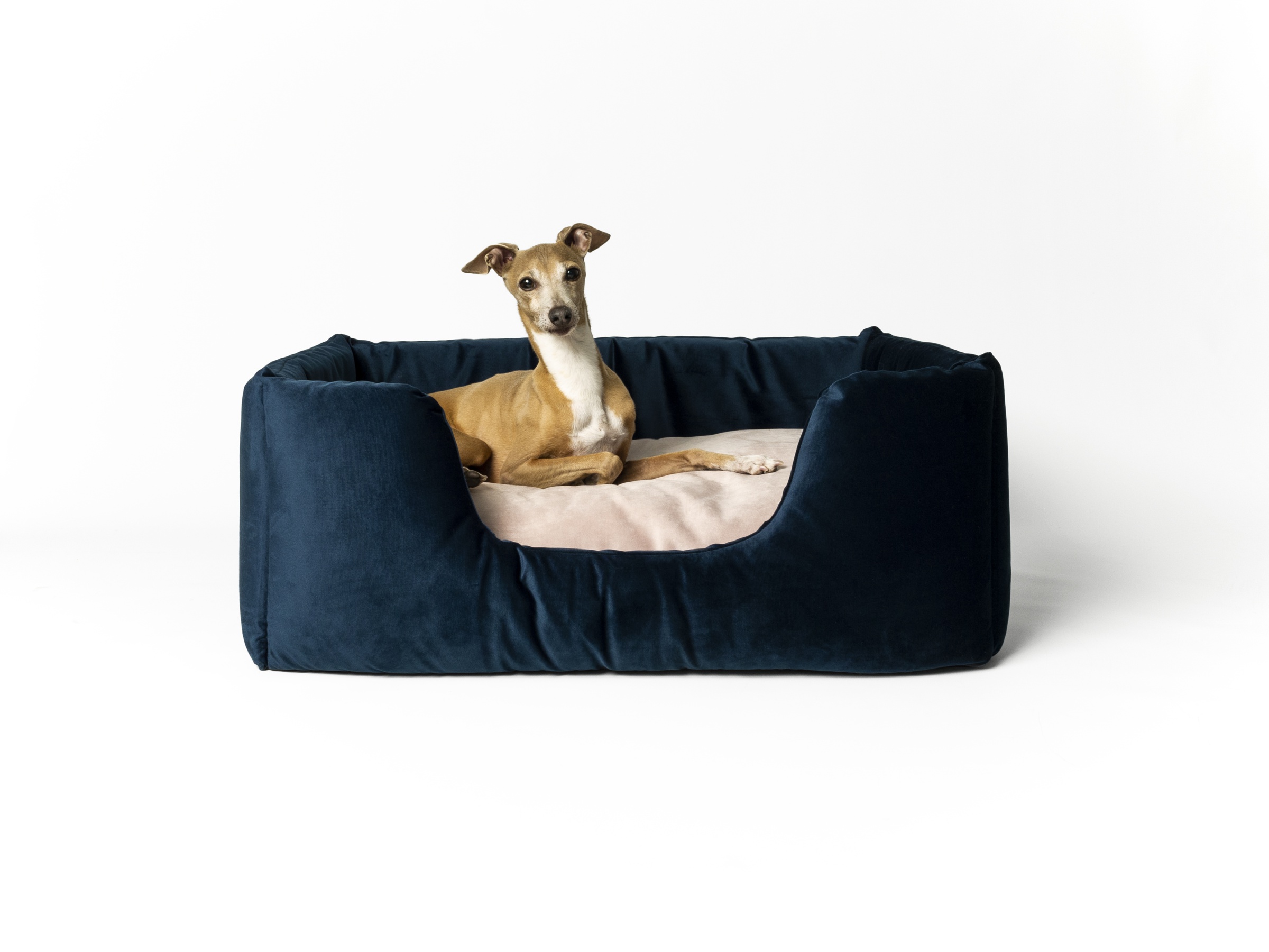 Charley Chau Deeply Dishy Luxury Dog Bed in Velour Contrast - Midnight & Palest Pink