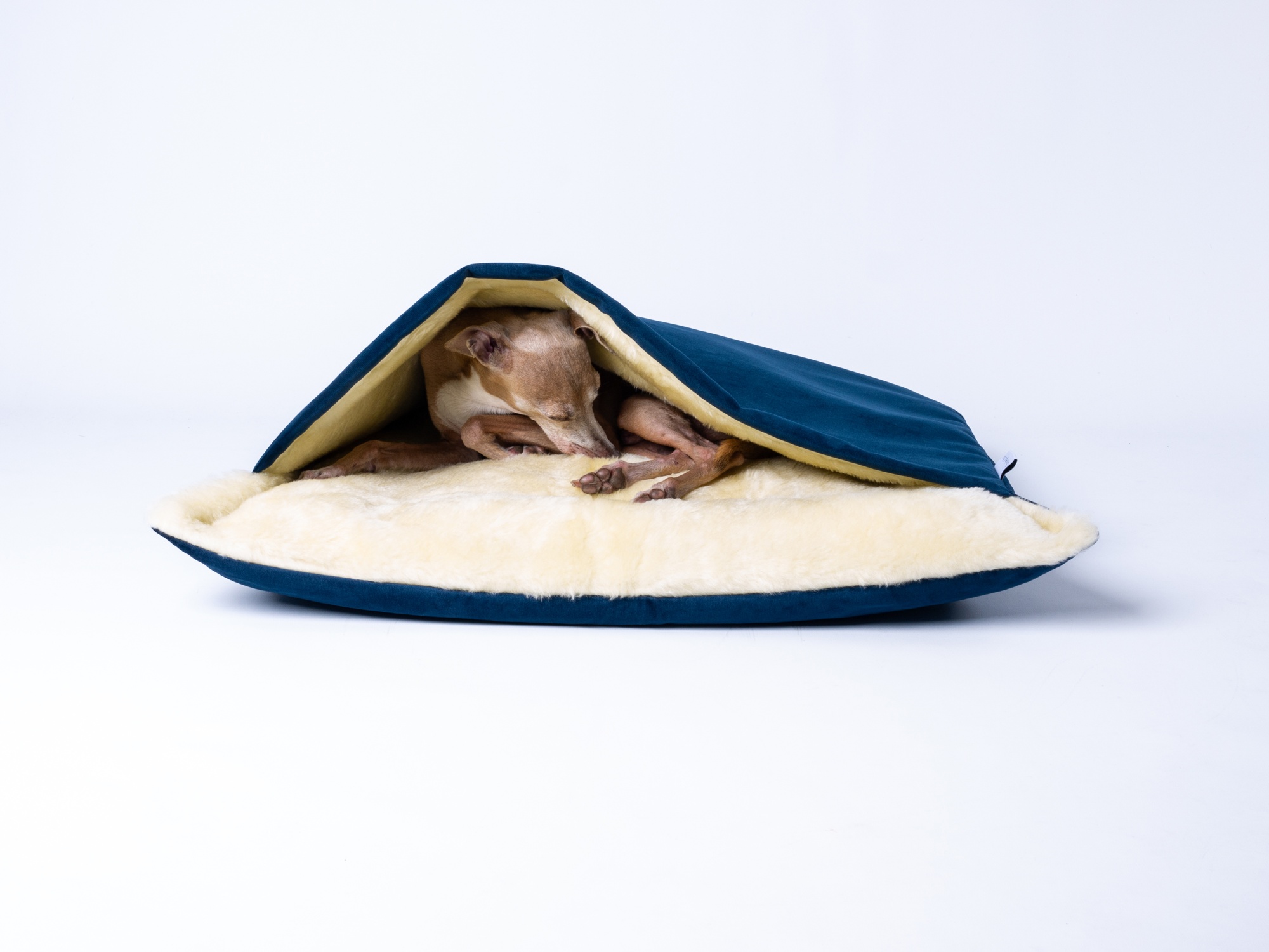 Charley Chau Burrow Bag in Velour Midnight