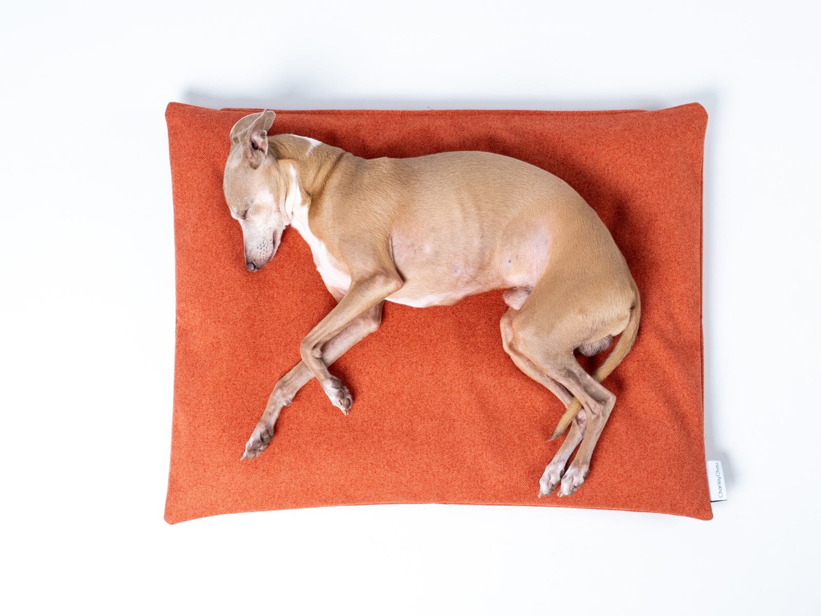 Charley Chau Dog Travel Pad in Faroe Sienna