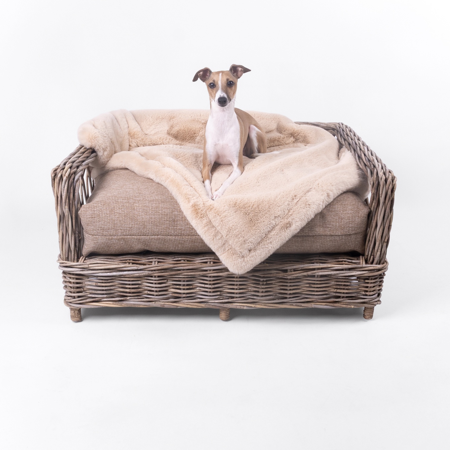 The Raised Rattan Dog Bed