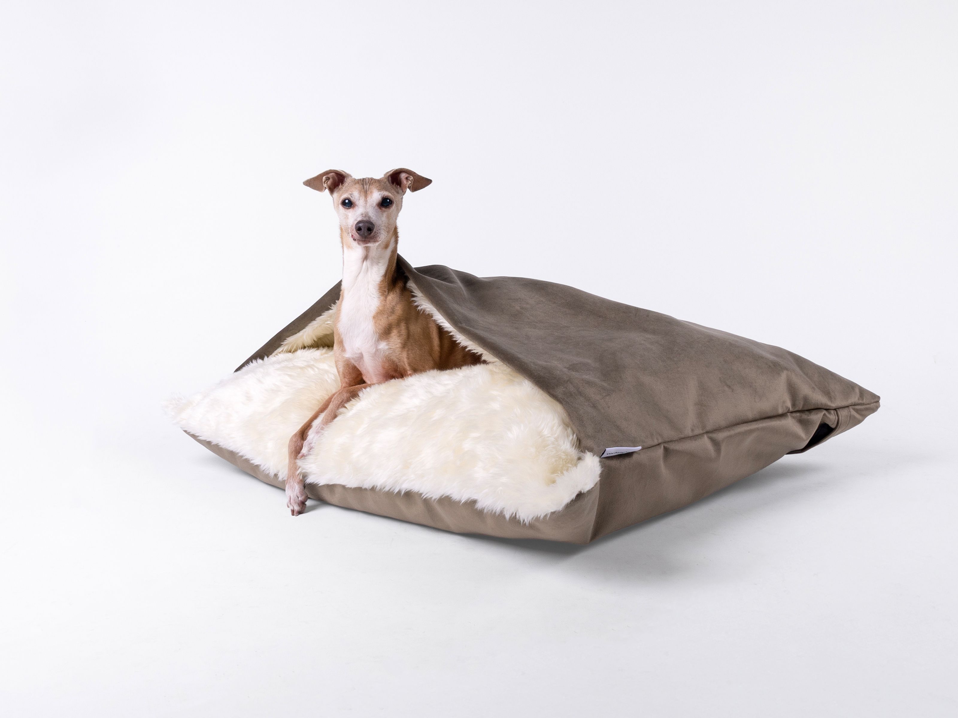 Classic Charley Chau Dog Snuggle Bed in Velour - Brown Mole (Limited Edition)