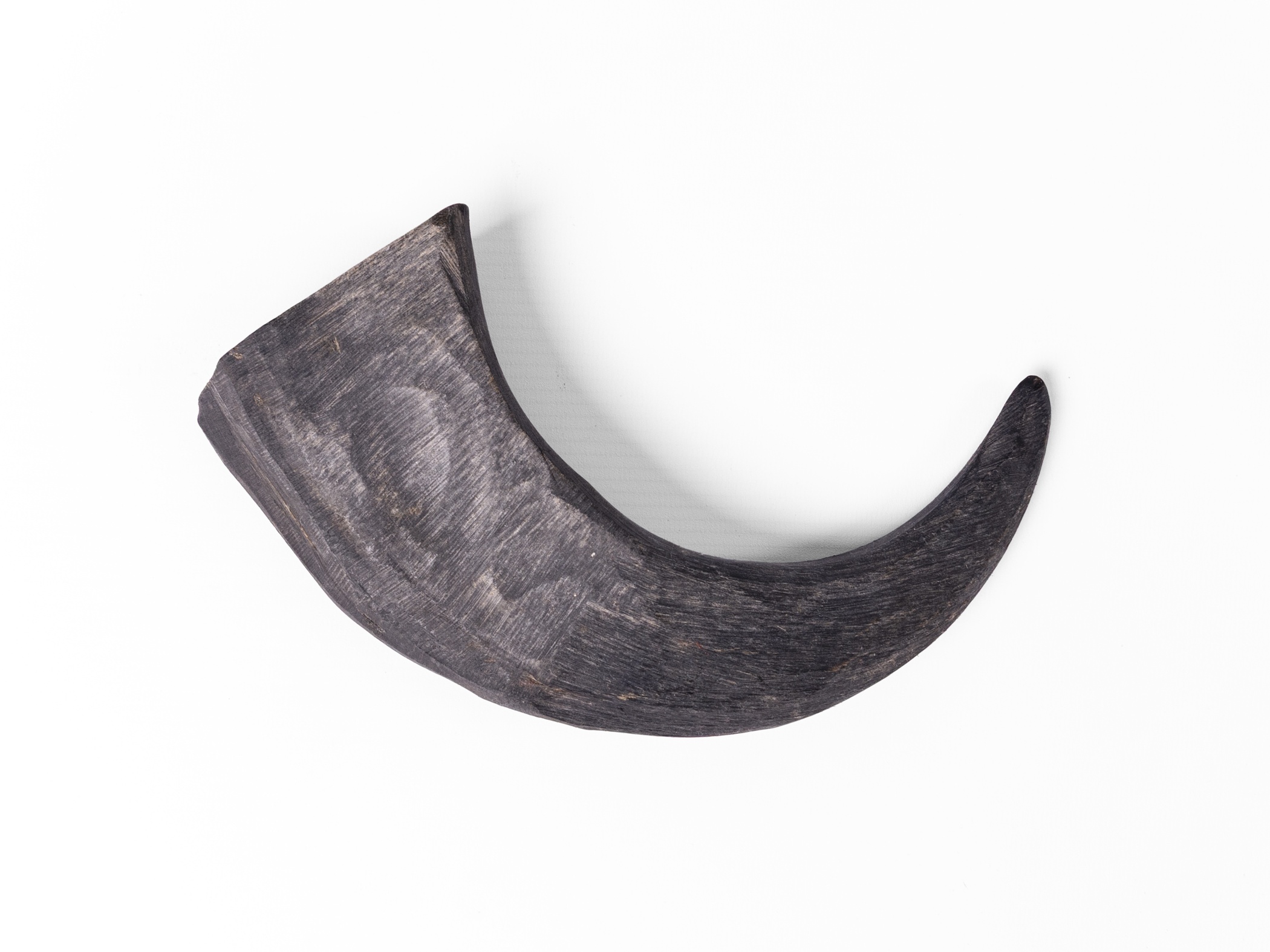 Green & Wild’s Buffalo Horn Dog Chew