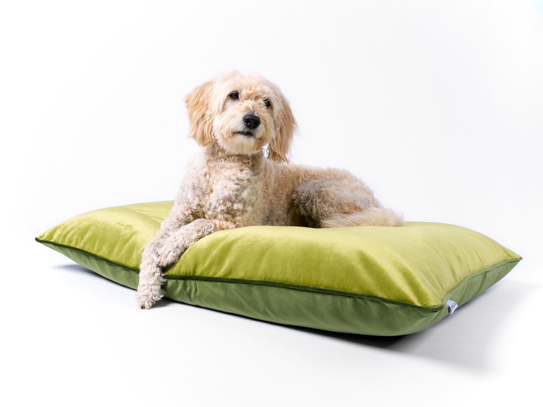 Charley Chau Day Bed Dog Mattress in Velour Contrast in Lime & Leaf