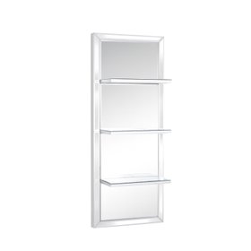 Mirrored Wall Mounted Shelving Unit