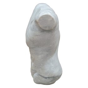 Angelis W23 Torso