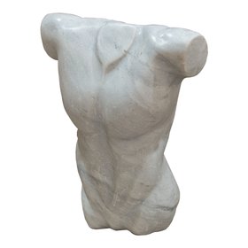 Angelis W23 Torso