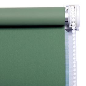 Boreas Corded Light green Plain Blackout Roller blind (W)180cm (L)180cm
