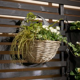 Smart Garden Sable willow Grey Semi-circle Hanging basket