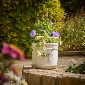 Verve Painted Moon Beam Ceramic Plant pot (Dia) 30cm, (H)26cm