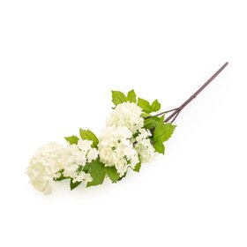 White Viburnum Single stem Artificial flower (H) 645mm