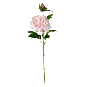 Pink Peony Artificial foliage (H) 610mm