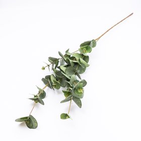 Green Eucalyptus Single stem Artificial foliage (H) 855mm