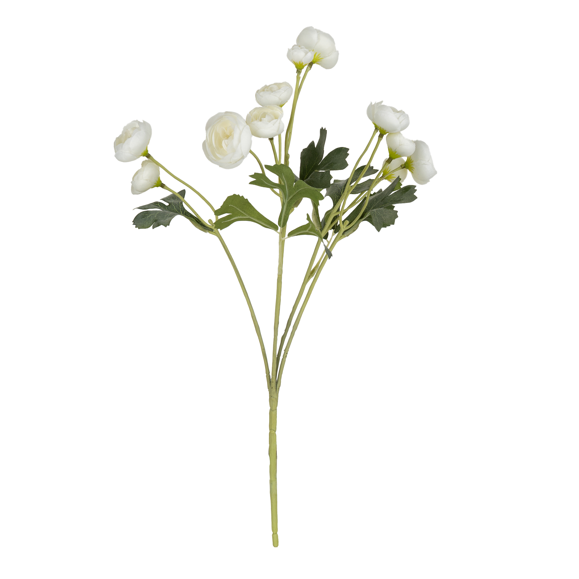 White & Green Camellia 5 Mini buds Single stem Artificial flower (H) 490mm