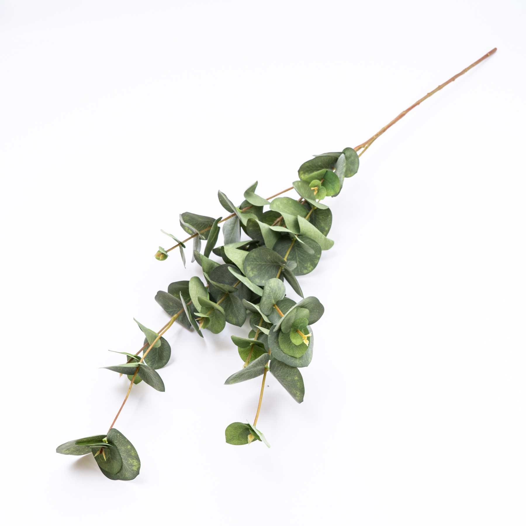 Green Eucalyptus Single stem Artificial foliage (H) 855mm