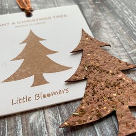 Plant a Christmas Tree Seed Paper Card