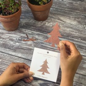 Plant a Christmas Tree Seed Paper Card