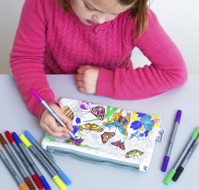 Butterfly Pencil Case  - colour in and learn