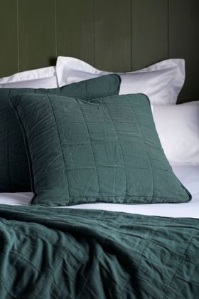 Darkest Spruce Finn 100% Cotton Cushion Cover - Square