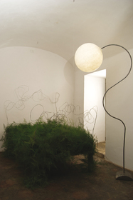 Piantana luna