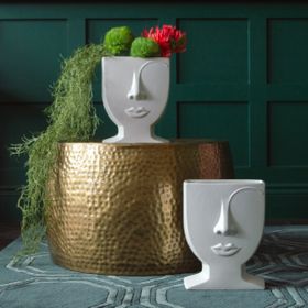 Female Face White Vase £39. Artificial Trailing Spanish Moss £18. Artificial Dianthus Green Trick Stem (Set Of 3) £22.95.