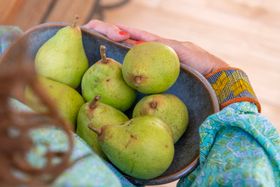 Schulte Hostedde Ceramic Bowl for Karsruher Majolika