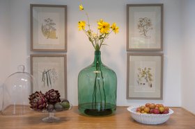 Silver birch tree botanical study