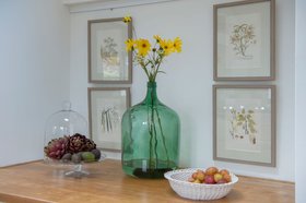 Silver birch tree botanical study