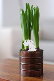 Piccoli Decori - Baby Spikey Cagnolino bianco