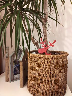 Christmas Decors - Reindeer