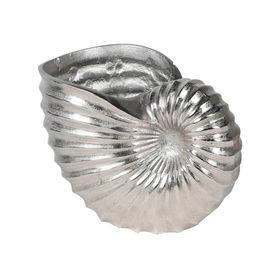 Ammonite Wine Cooler