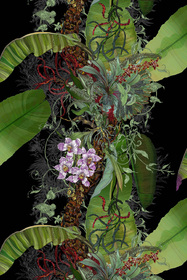 Topical Tropical Superwide Wallpaper in Black