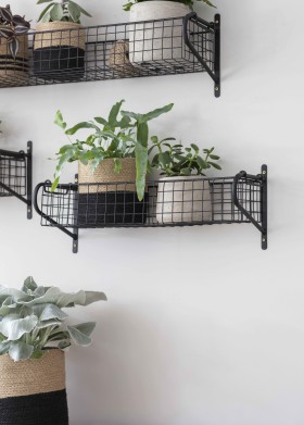 Garden Trading Wirework Basket Shelf, Medium in Black   