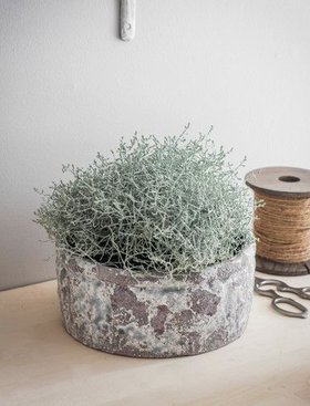 Withington Bowl 24.5cm Grey