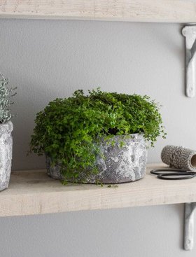 Withington Bowl 18.5cm Grey