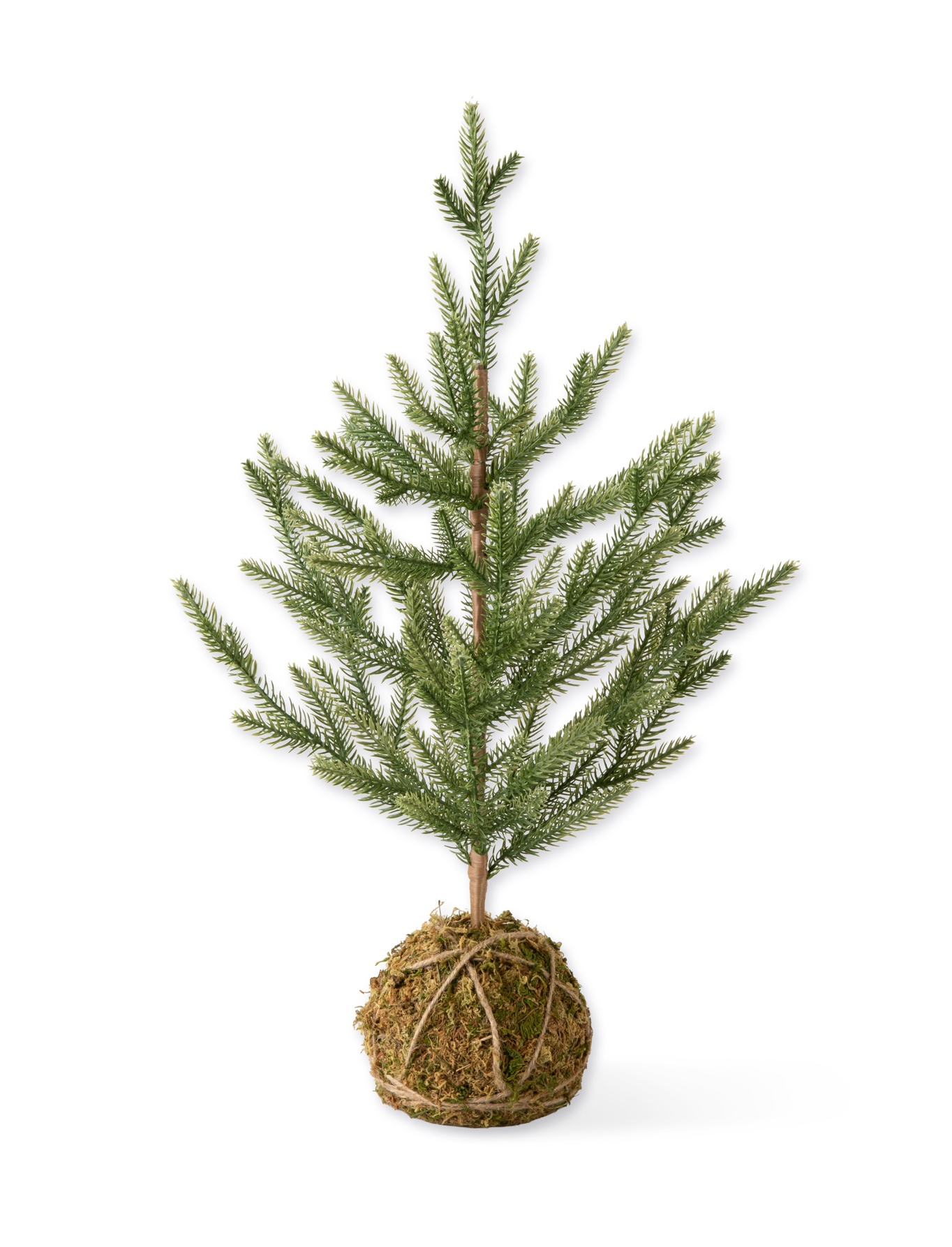 Moss Ball 60cm Mini Tree