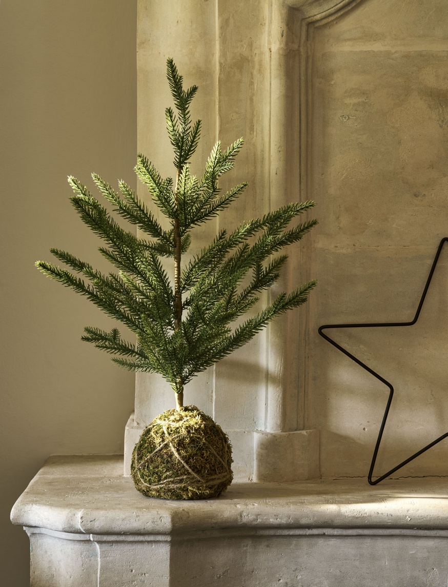 Moss Ball 60cm Mini Tree